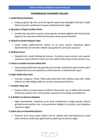 100 Adımda FENOMEN Olmanın Yolları Kitabı - Resim 5