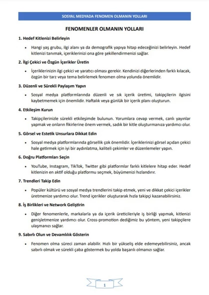 100 Adımda FENOMEN Olmanın Yolları Kitabı - Resim 2