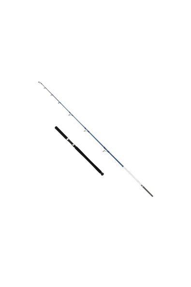 Captain 1411 Victor Boat 2 Parça Tekne Kamışı 30-160gr Atar ürün görseli 1