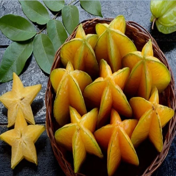 Tüplü Star Meyvesi Karambola Star Meyvesi Fidanı Çok Yaşlı ürün görseli 1