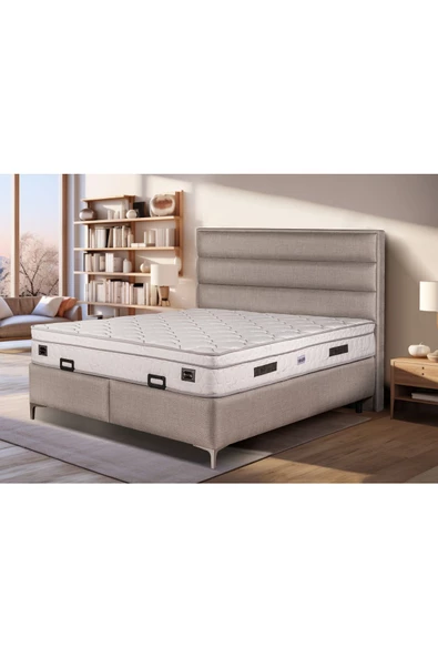 Beauty Sleep Lens Serisi Baza Başlık Seti ürün görseli 1