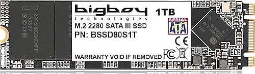 BIGBOY 1TB 22x80mm M.2 Sata 3 Notebook SSD ürün görseli 1