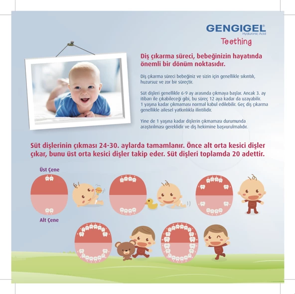 Gengigel Teething Jel Diş Çıkarma Jeli 20 ml - Resim 5