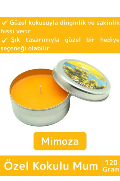 Premium Özel Metal Kutulu Arınma Huzur Meditasyon Yoga Esans Dekoratif Mum Oda Kokusu 120 Gram ürün görseli 1