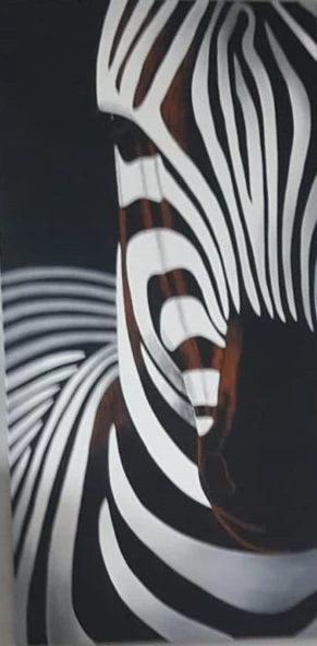 zebra ürün görseli 1