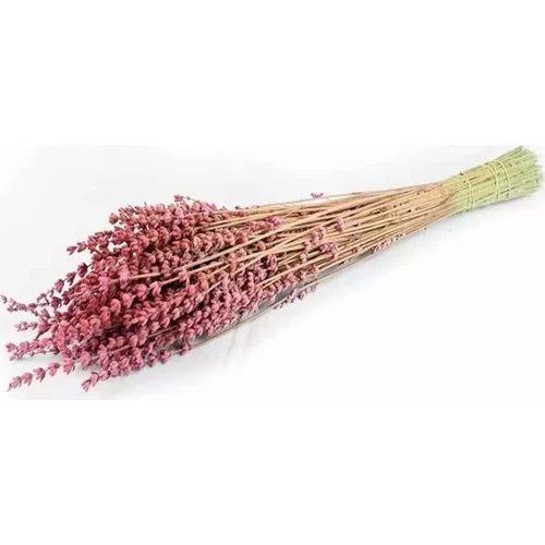 Şoklanmış Lavanta Pembe 1 Demet 100 gr 45-50 cm ürün görseli 1