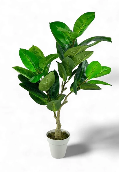 Nettenevime Yapay Çiçek Kauçuk Ağacı 85cm Salon Çiçeği Beyaz Saksılı Yapay Bitki ürün görseli 1