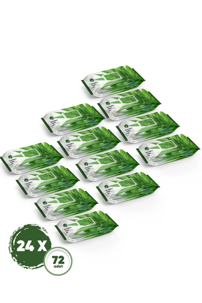 DEX Aloe Vera Islak Havlu 24 Adet 72'li ürün görseli 1
