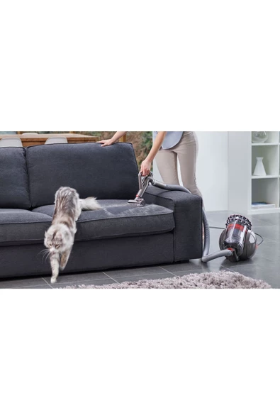 Cinetic Big Ball Absolute 2 Elektrikli Süpürge - Resim 4