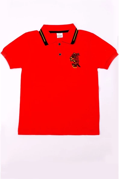 ERKEK ÇOCUK TSHİRT POLO YAKA A7 - Resim 12