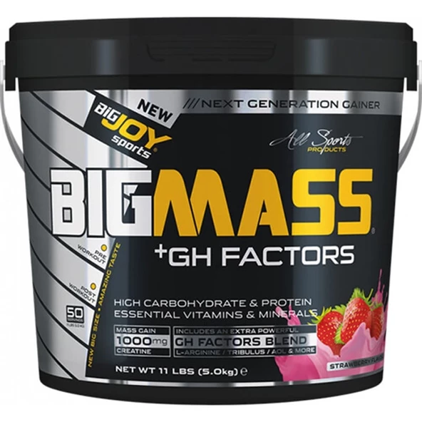 Bigjoy BIGMASS Gainer + GH FACTORS 5000 gr Çilek ürün görseli 1