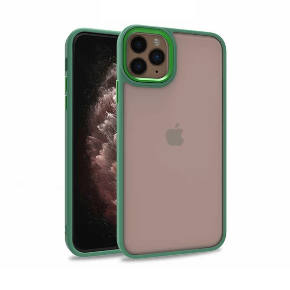 iPhone 11 Pro Max Kılıf Kamera Çıkıntılı Arkası Şeffaf Köşeleri Parlak Renkli Işlemeli Flora Kapak ürün görseli 1