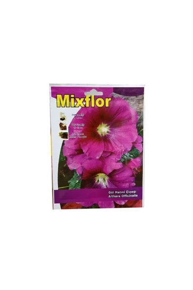 Mixflor Gül Hatmi Tohumu ürün görseli 1