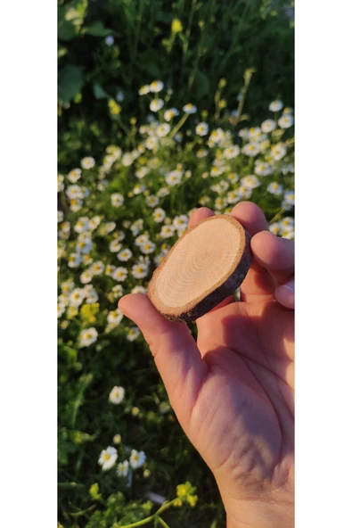 doğaldepo Ahşap Rune Hobi Boyama Hediyelik Kütük Dilimi 3-5 cm 50 adet ürün görseli 1