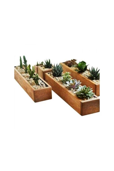TROPİKAL Kaktüs Standı Kanal 30x10 Cm ürün görseli 1