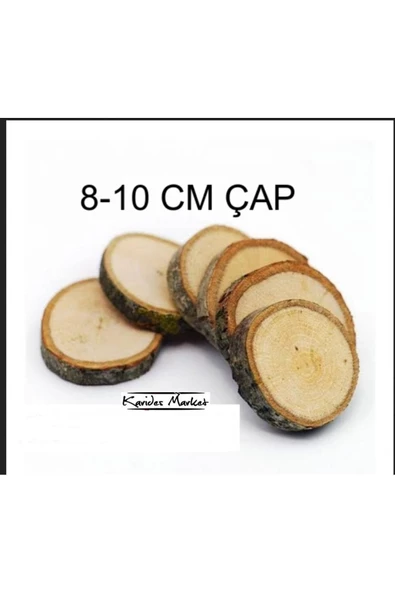 KARİDES MARKET 5 Adet 8 - 10 Cm Çap Moss Bitki Uygulamaları için Doğal Dekoratif Ağaç Kütük Dilimi ürün görseli 1