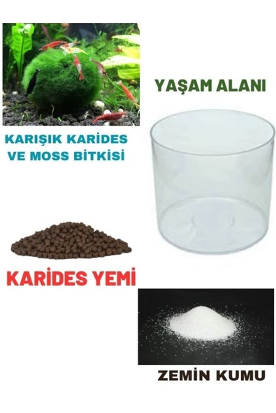canlipetshop .karides Teraryumu Yaşam Alanı (teraryumu+yemi+karides) Komple Set ürün görseli 1
