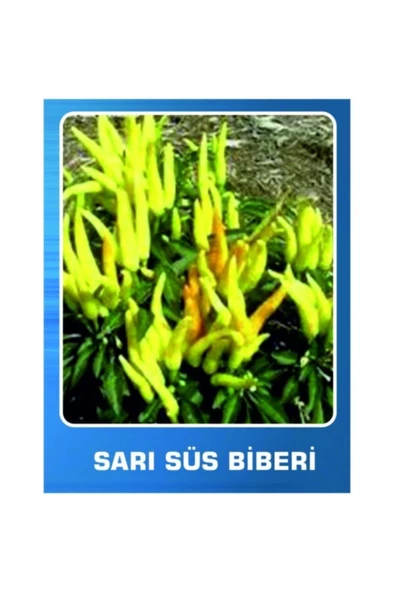Tropical Sarı Süs Biberi Tohumu 100 Adet ürün görseli 1