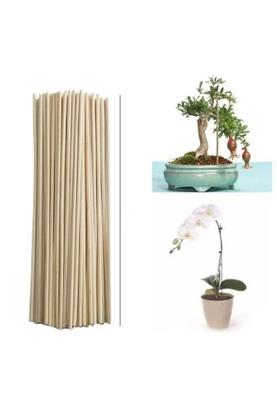 Saksı Bitkileri Destek Çubuğu 30 Cm 50 Ad ürün görseli 1