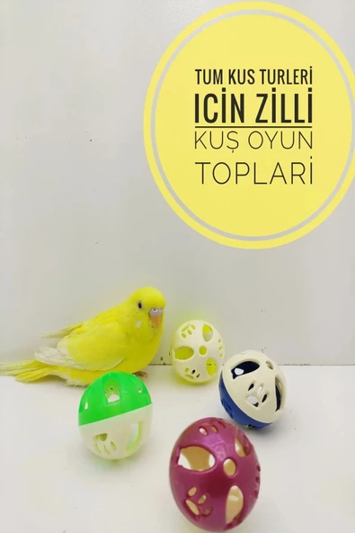canlipetshop Zilli Oyun Topu Kuş Oyuncağı 3 Adet ürün görseli 1