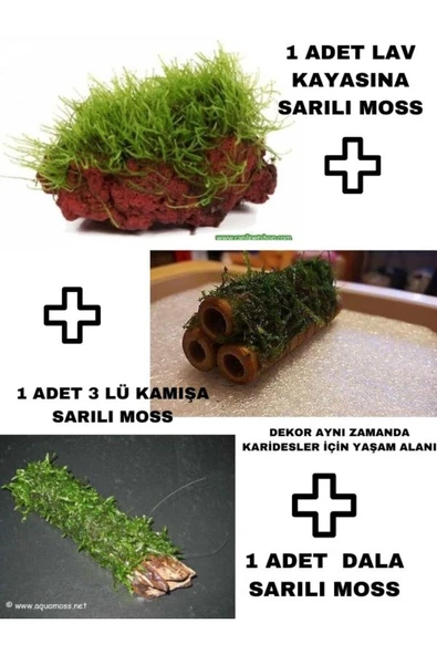 canlipetshop Moss Sarılı Karides Dekoru Yuvası ve Üreme Alanı 3 lü Set ürün görseli 1