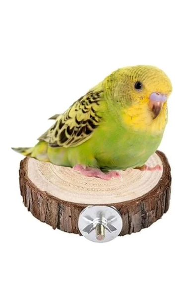 canlipetshop Ağaç Dilim Kuş Tüneği 8-10 cm Çap 3 Adet Çiftleşme Ve Dinlemeye uygun ürün görseli 1