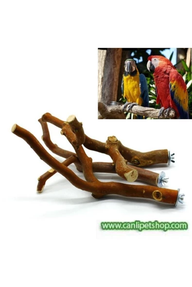 canlipetshop Dogal Dal Tünek Ince Kızıl Renk Çatal Şekilli 18-25 Cm Bütün Kafes Kuşları Için ürün görseli 1