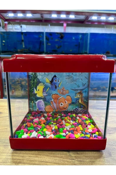 Kare Mini Akvaryum KIRMIZI Renk 20x20x15 cm ürün görseli 1