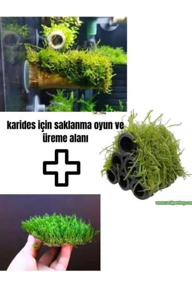canlipetshop Karides İçin Üreme Saklanma Yuvası + Oyun Alanı 3 Lü Set Moss Sarılı Dekor ürün görseli 1