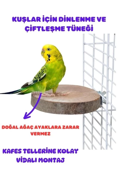 canlipetshop Kuşlar İçin Çiftleşme Ve Dinlenme Tüneği Yuvarlak Vidalı Doğal Ahşap 1 Adet 8-10 Cm Çap ürün görseli 1