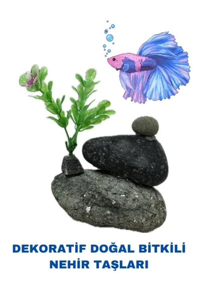 canlipetshop Dekoratif Akvaryum Ve Fanus Dekoru Üçlü Doğal Taş Bitkili (10*7 cm) ürün görseli 1