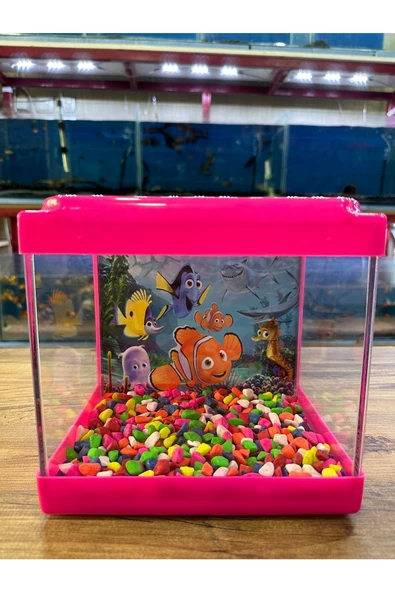 Kare Mini Akvaryum PEMBE Renk 20x20x15 cm ürün görseli 1