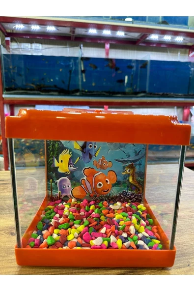 Kare Mini Akvaryum TURUNCU Renk 20x20x15 cm ürün görseli 1