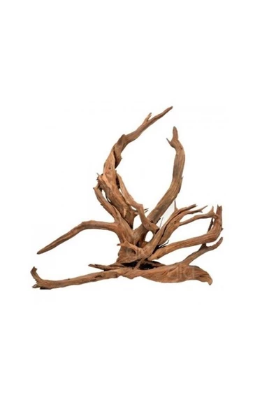 canlipetshop Yati Kökü (Red Moor Wood ) - L - 40-50 Cm ürün görseli 1