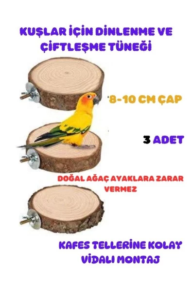canlipetshop Kuşlar İçin Çiftleşme Ve Dinlenme Tüneği Yuvarlak Vidalı Doğal Ahşap 3 Adet 8-10 Cm Çap ürün görseli 1