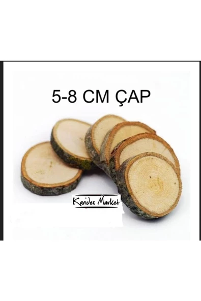 KARİDES MARKET 5 Adet 5 - 8 Cm Çap Moss Bitki Uygulamaları için Doğal Dekoratif Ağaç Kütük Dilimi ürün görseli 1