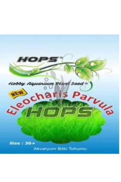 canlipetshop Hops Akvaryum Için Canlı Bitki Tohumu Parvula ürün görseli 1