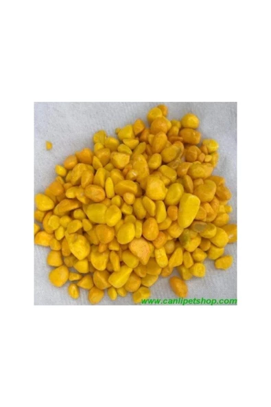 TROPİKAL Akvaryum  Fanus  Teraryum Sarı Renkli Dekor Taşları 8-10 Mm 1 Kg ürün görseli 1