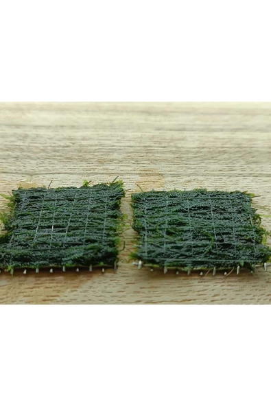 KARİDES MARKET 2 Adet 3-3 Cm Java Moss Yeni Tele Sarılı - Resim 3