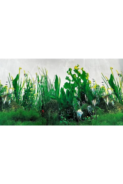 Arka Fon (Bitkili Akvaryum) 50 cm Uzunluk (Yükseklik 60 Cm) ürün görseli 1