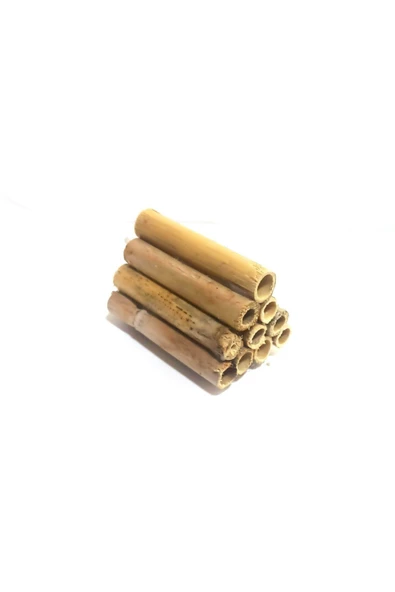 canlipetshop 10 ' Lu Uretim Kamışı (10 Cm) ürün görseli 1