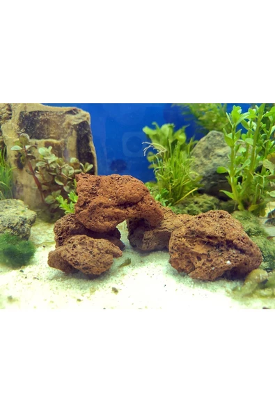 IdMuDecoration Lav Kayası 4 Adet 5-7 Cm - Akvaryum Dekor Kayası - Taşı ürün görseli 1