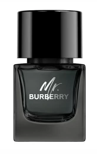 Burberry Mr. Edp 50 Ml Erkek Parfüm ürün görseli 1