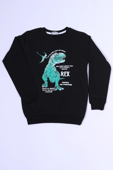 ERKEK ÇOCUK SWEAT DİNOZOR BASKILI RİBANALI C54 ürün görseli 1