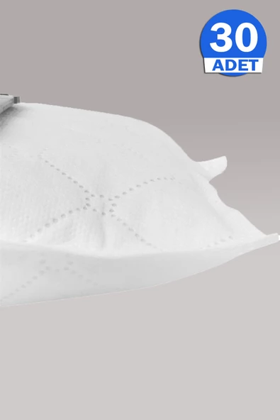 Rowenta RO6485EA Hygiene Toz Torbası 30 Adet - Resim 3