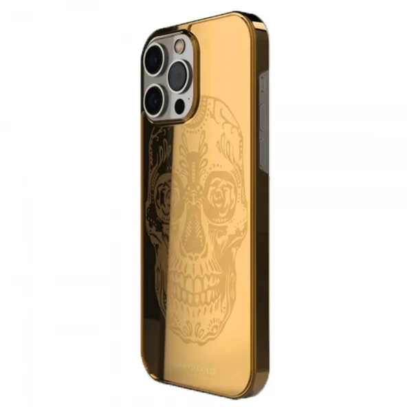 Apple iPhone 12 Pro Max Kuru Kafa Gold Kılıf - Resim 2