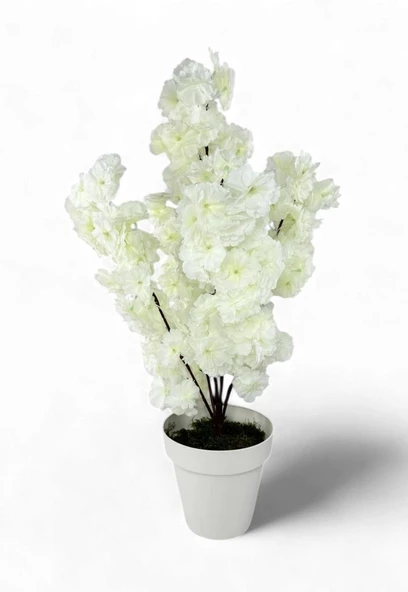 Nettenevime Yapay Ağaç Bahardalı Ağacı Beyaz Japon Kiraz Çiçeği Sakura Çiçeği 70cm Beyaz Plastik Saksılı ürün görseli 1