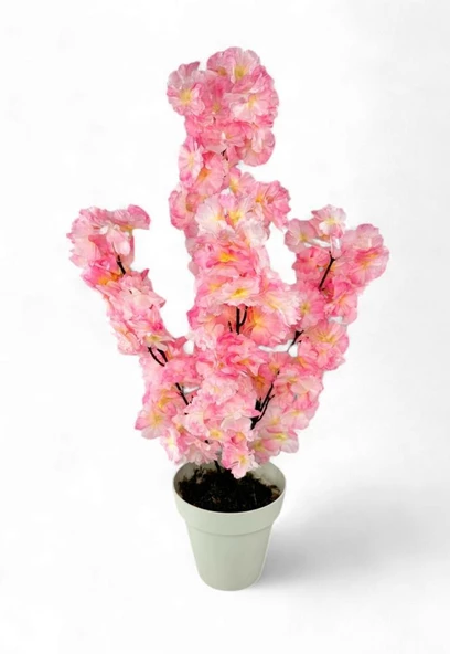 Nettenevime Yapay Ağaç Bahardalı Ağacı Pembe Japon Kiraz Çiçeği Sakura Çiçeği 70cm Beyaz Plastik Saksılı ürün görseli 1