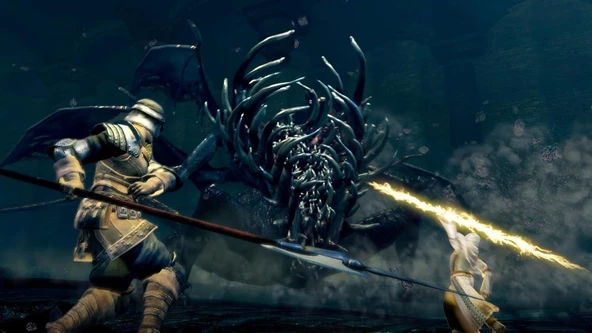 Dark Souls Remastered Ps4 Oyun - Resim 2