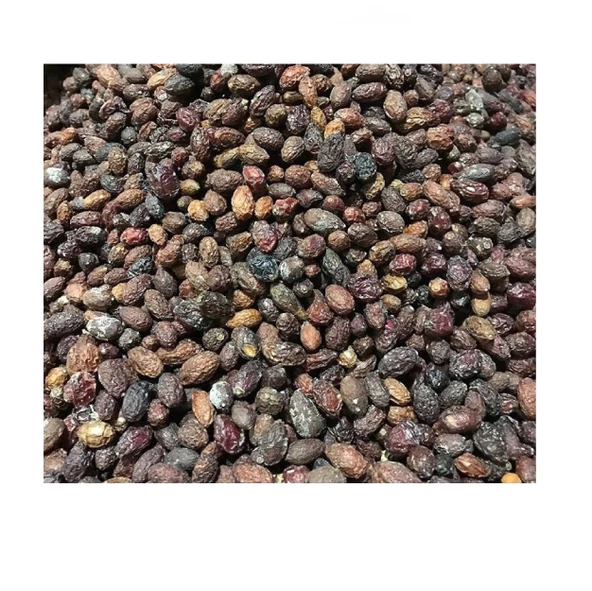 Kızılcık Kurusu (Cornus mas) 250 gr, Derya Eren - Resim 3